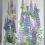 15. Lupiinien aikaan